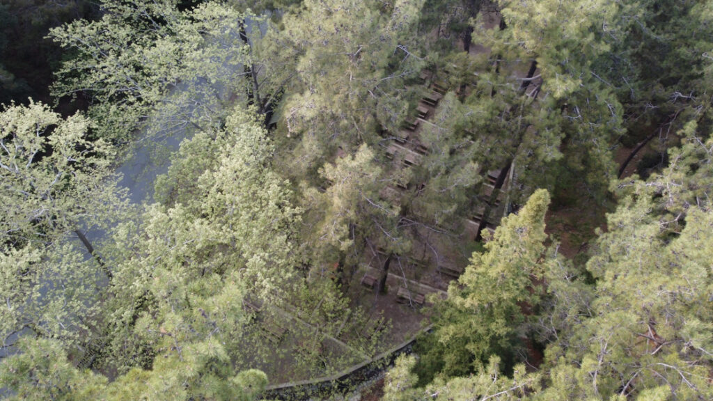 Aerial shot of Platania picnic site in Kakopetria