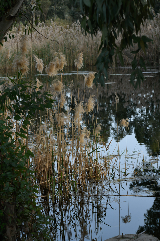 gorgeous lake in Lympia dam