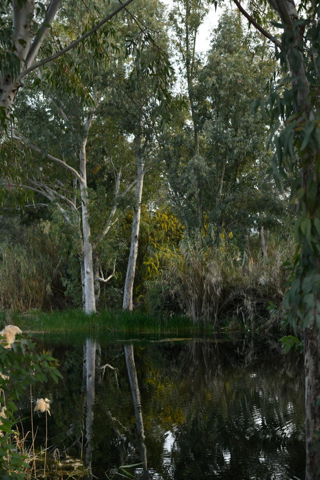 beautiful nature in Lympia dam