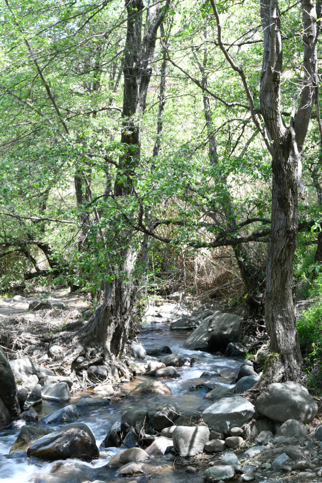 Vateri nature trail in Kakopetria