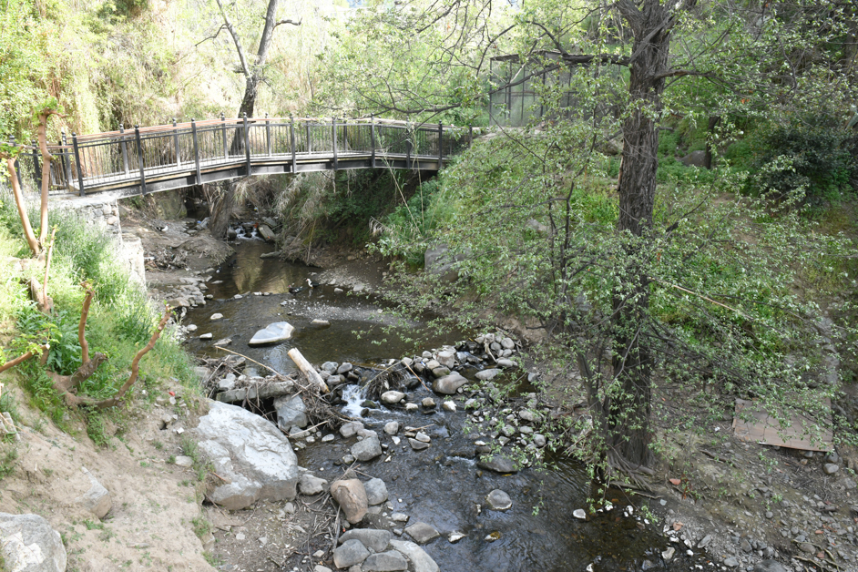 Elena's Parl in Kakopetria