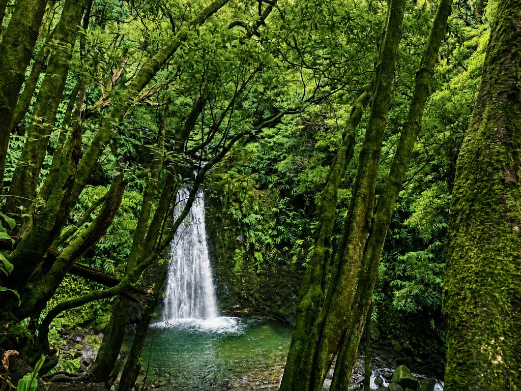 Salto do Prego waterfall hidden in the lush forest of São Miguel, Azores