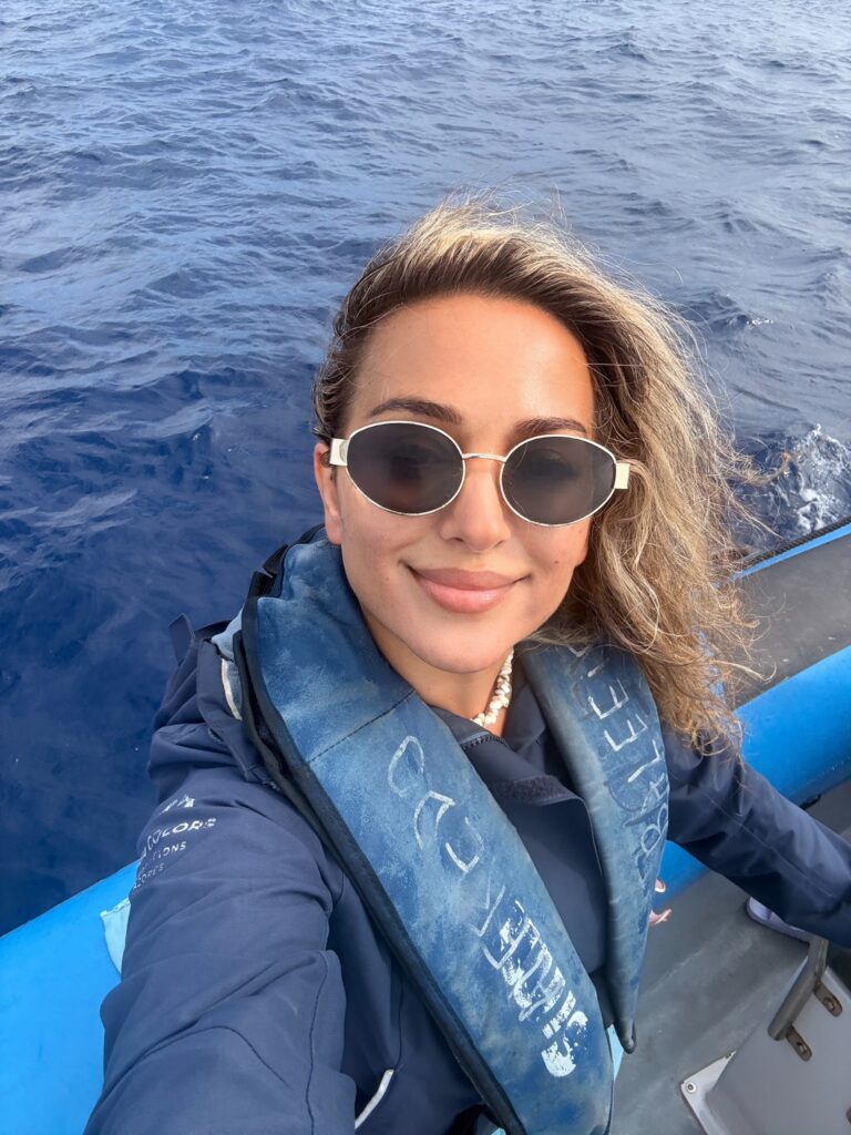Speedboat dolphin-watching tour off the coast of São Miguel, Azores