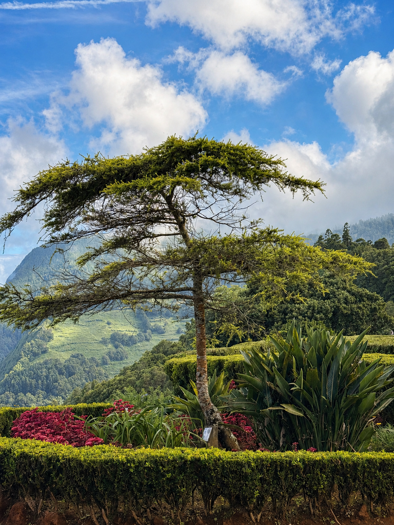 Landscaped gardens and mountain views at Miradouro da Ponta do Sossego, São Miguel, Azores