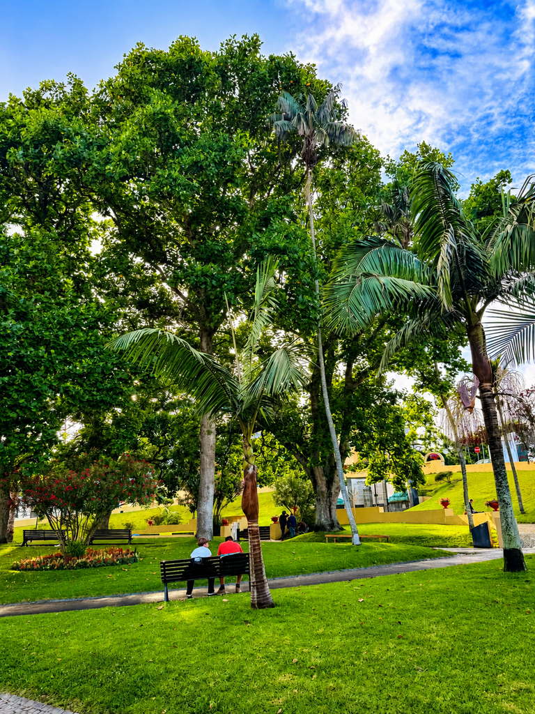 Lush botanical gardens in Ponta Delgada, São Miguel, Azores