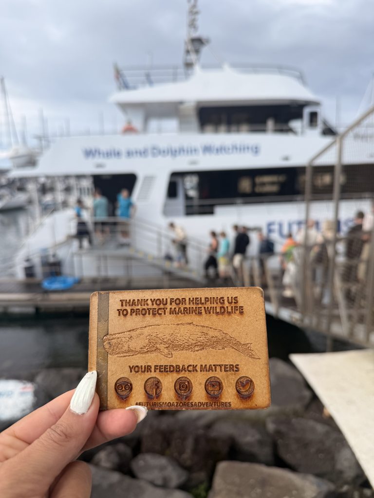 Whale and dolphin watching tour boat in Ponta Delgada, São Miguel, Azores