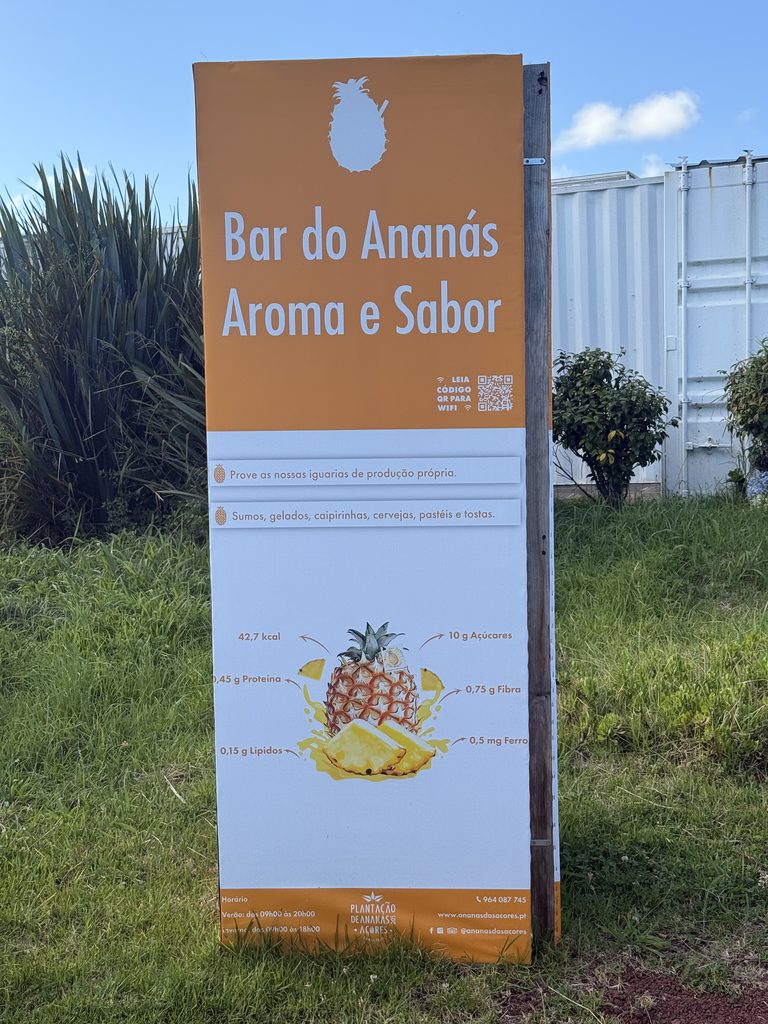 ar do Ananás at a pineapple plantation in Ponta Delgada, São Miguel