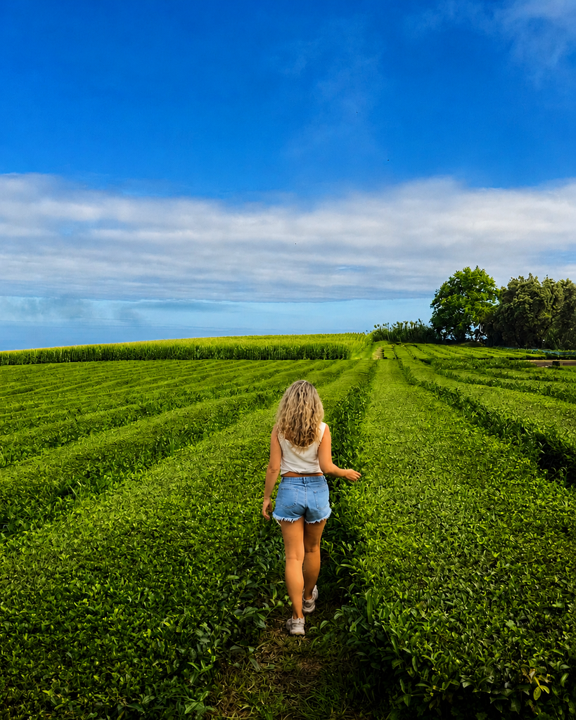 Walking through the Gorreana tea plantation in São Miguel, Azores